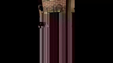 booboo1207 online show from 19, 4, 2026