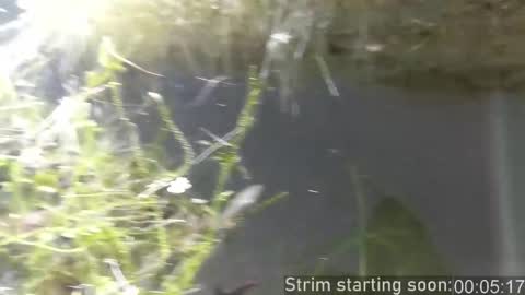 Booker Baxton online show from 27, 11, 2025