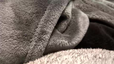 Snapshot of borderslad1101 chatting on 23, 11, 2025 Borderslad1101 online show from 23, 11, 2025