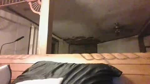 Snapshot of bottomcdforoldersc chatting on 3, 4, 2026 James online show from 3, 4, 2026