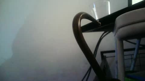 BottoMMlad online show from 10, 1, 2025