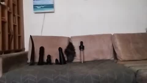 Snapshot of boy7oyy chatting on 31, 1, 2025 Bes7assquirt online show from 31, 1, 2025