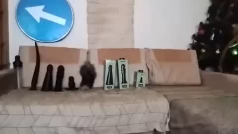 Snapshot of boy7oyy chatting on 22, 2, 2025 Bes7assquirt online show from 22, 2, 2025