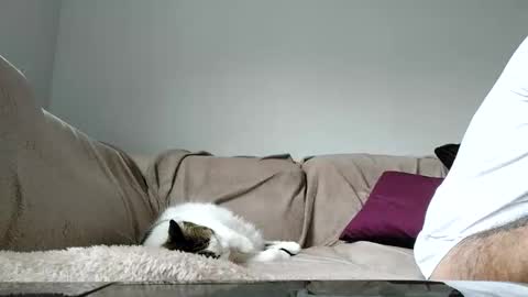 Dan online show from 15, 4, 2026