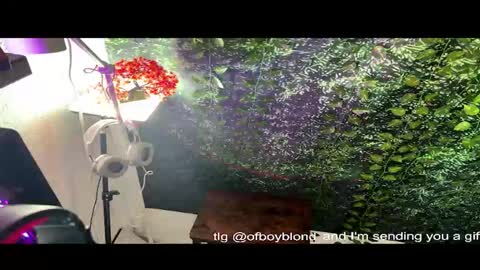 boyblondhetero online show from 22, 2, 2026