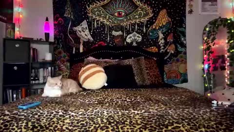 Snapshot of boysdroollx chatting on 28, 12, 2024 Puddin online show from 28, 12, 2024