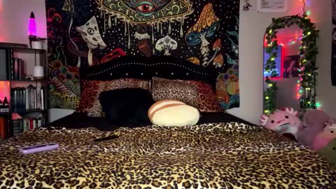 Snapshot of boysdroollx chatting on 23, 2, 2025 Puddin online show from 23, 2, 2025