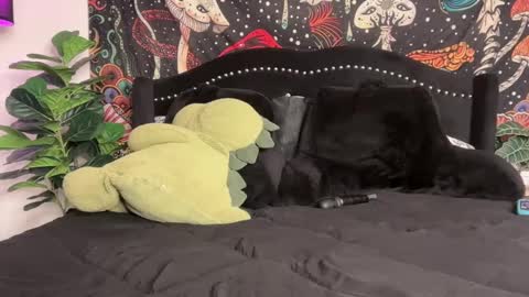 Snapshot of boysdroollx chatting on 22, 9, 2025 Puddin online show from 22, 9, 2025