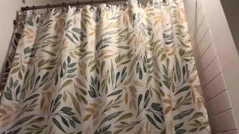 boysetsfire34 online show from 13, 3, 2026