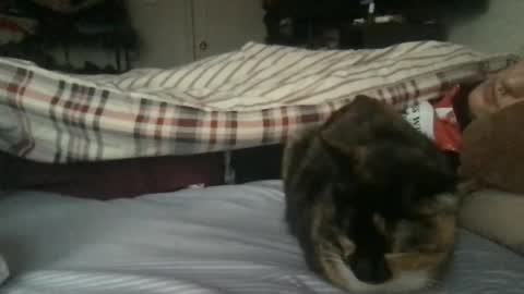 Snapshot of boywithbug chatting on 13, 2, 2025 boywithbug online show from 13, 2, 2025