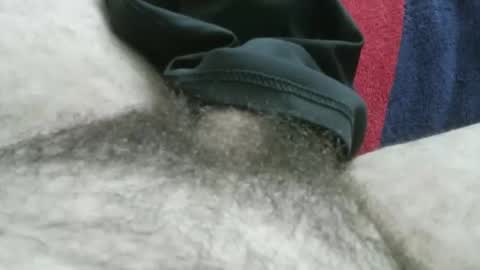 Snapshot of bpllpd chatting on 11, 1, 2026 bpllpd online show from 11, 1, 2026