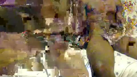 daniel alex online show from 11, 3, 2025