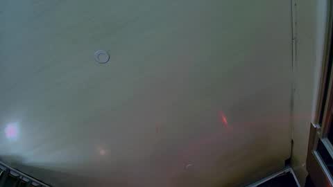 bradkith27 online show from 16, 11, 2025