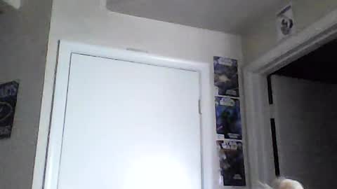Snapshot of braindeadbetty chatting on 15, 6, 2026 i am a naughty jedi knight online show from 15, 6, 2026