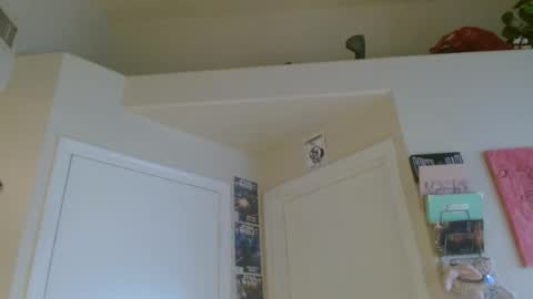 Snapshot of braindeadbetty chatting on 29, 7, 2026 i am a naughty jedi knight online show from 29, 7, 2026