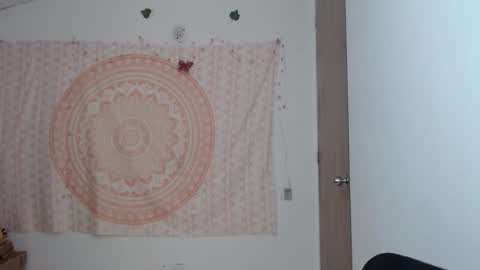 Snapshot of brisama chatting on 11, 3, 2025 brisama online show from 11, 3, 2025