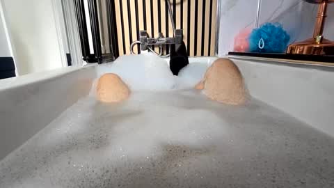 britishbigdick_ online show from 16, 9, 2025
