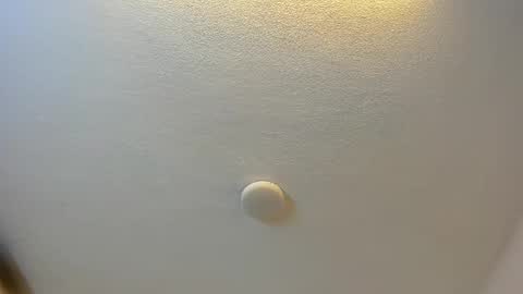 Brittany  online show from 13, 10, 2025