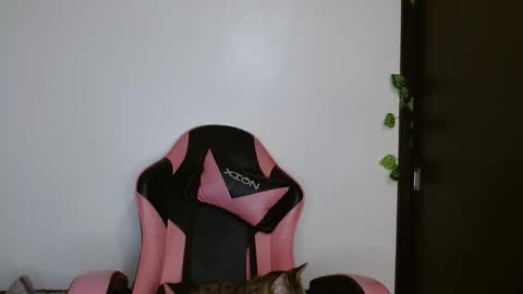 maru miaw   Please help me to reach 100 thumbs up online show from 20, 2, 2026