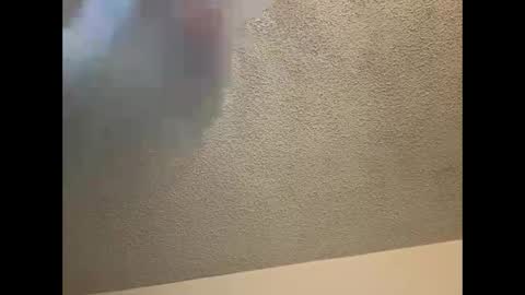 EtherealLilac online show from 4, 3, 2025