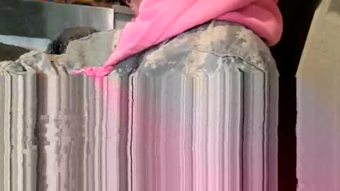 Snapshot of brushsquach chatting on 11, 3, 2026 Steve... aka SkinnieDippin aka TimberTramp online show from 11, 3, 2026