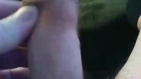 Snapshot of bullemoe chatting on 9, 1, 2025 bullemoe online show from 9, 1, 2025