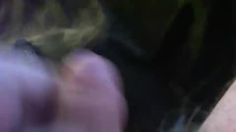 Snapshot of bullemoe chatting on 14, 1, 2025 bullemoe online show from 14, 1, 2025