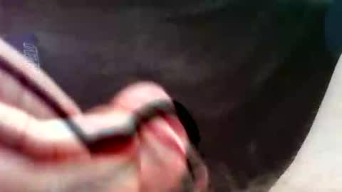 Snapshot of bullemoe chatting on 16, 9, 2025 bullemoe online show from 16, 9, 2025