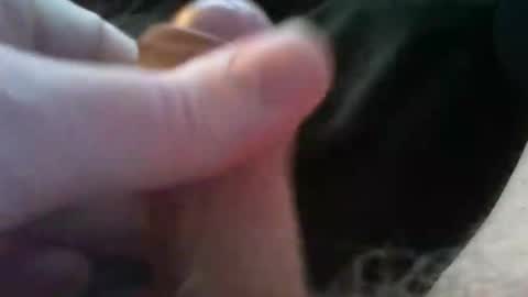 Snapshot of bullemoe chatting on 4, 10, 2025 bullemoe online show from 4, 10, 2025