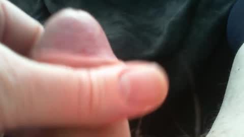 bullemoe online show from 10, 3, 2026