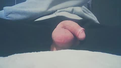 Dutch cock online show from 16, 2, 2025