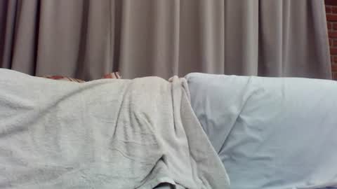 Dutch cock online show from 27, 6, 2026