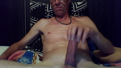 Dutch cock online show from 13, 7, 2026