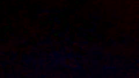 bungle online show from 23, 2, 2025