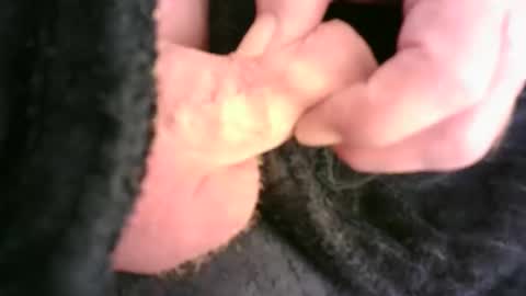 Snapshot of burnside13 chatting on 23, 11, 2025 Hamish online show from 23, 11, 2025