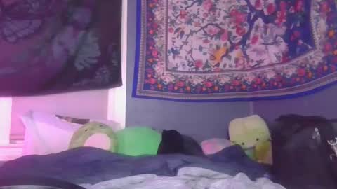 Snapshot of burnthemail chatting on 16, 12, 2024 lilly online show from 16, 12, 2024