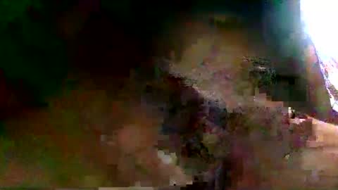 Snapshot of burro3000 chatting on 13, 12, 2024 burro3000 online show from 13, 12, 2024