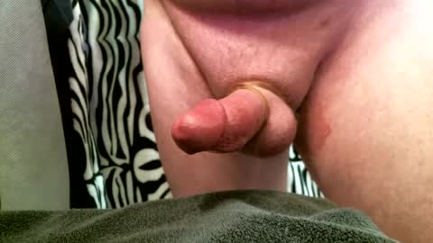 bustinfree online show from 12, 2, 2025