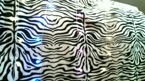 bustinfree online show from 24, 2, 2025