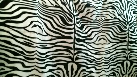 bustinfree online show from 16, 9, 2025