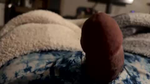 byrdbean online show from 17, 1, 2026