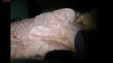 bzxxbzh online show from 4, 11, 2025