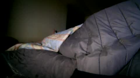 bzxxbzh online show from 15, 4, 2026