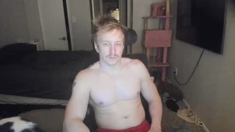 c00ki3m0nstr online show from 19, 6, 2026