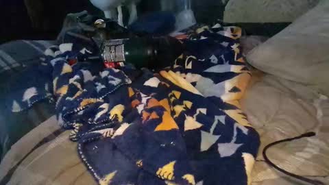 Snapshot of calisguitar chatting on 29, 12, 2024 Calisguitar online show from 29, 12, 2024