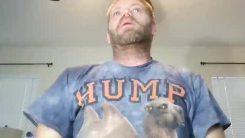 camb46ux1 online show from 28, 3, 2026