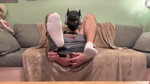 Snapshot of camdogfr chatting on 7, 12, 2024 camdogfr online show from 7, 12, 2024