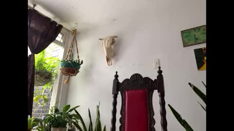 Snapshot of camille_delrey chatting on 8, 11, 2025 Camille online show from 8, 11, 2025