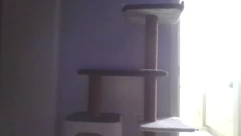 cammyman6900 online show from 9, 11, 2025