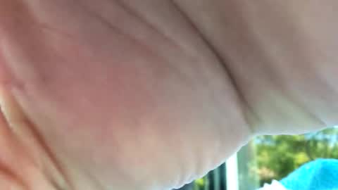 Snapshot of camronleehamilton chatting on 12, 11, 2025 camronleehamilton online show from 12, 11, 2025